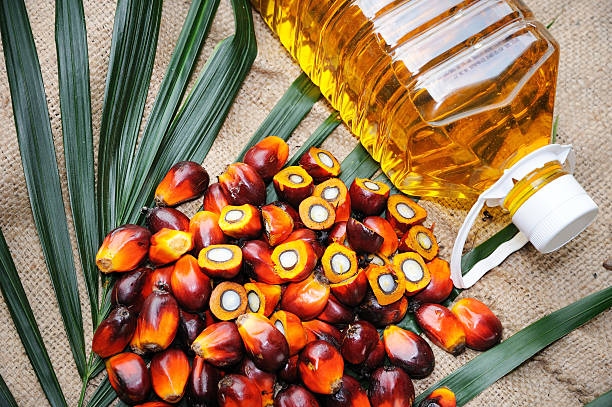 PALM OIL GÜNCEL FİYAT